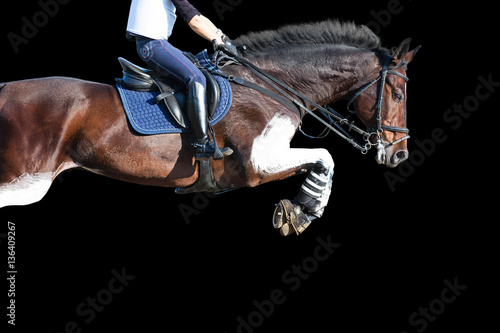 Show jumping: jumping horse isolated on black background.