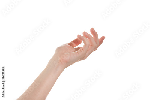 Open girl's hand isolate on a white background
