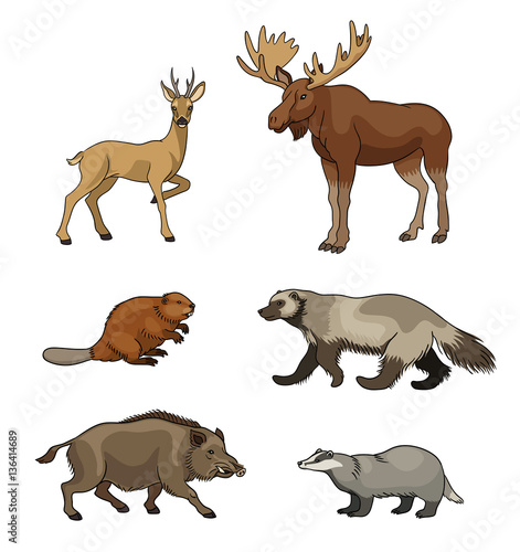 Set of vector forest animals