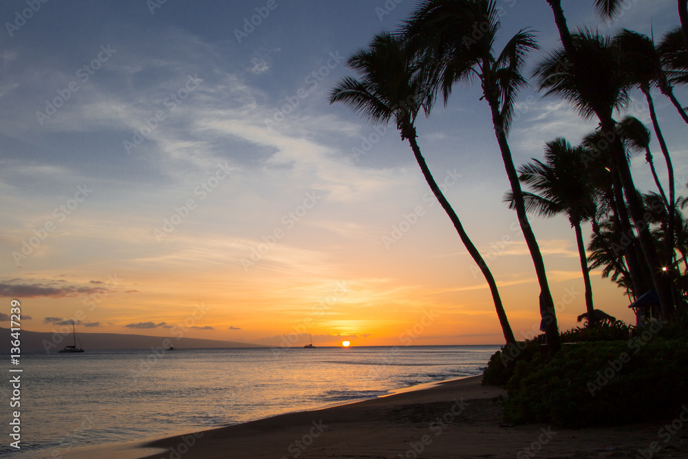 Catamaran's chasing the Sunset