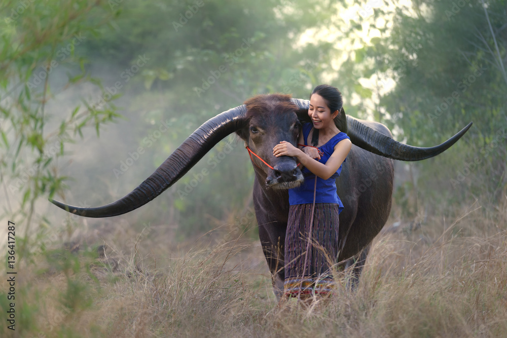 Asian woman farmer with a buffalo in the field, warm tone