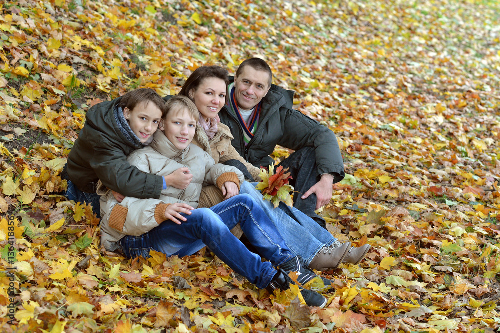 beautiful happy family beautiful happy family