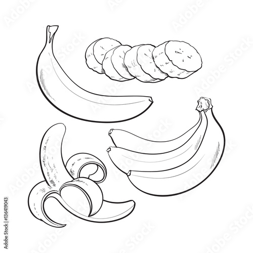 black and white Sliced, peeled, singl and bunch of three ripe banana, sketch style vector illustration isolated. Realistic hand drawing of whole, peeled, sliced banana and a bunch of three bananas