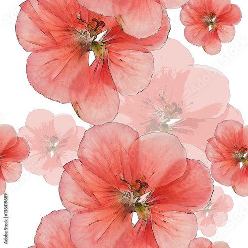 Geranium, cranesbill. Seamless pattern texture of pressed dry fl