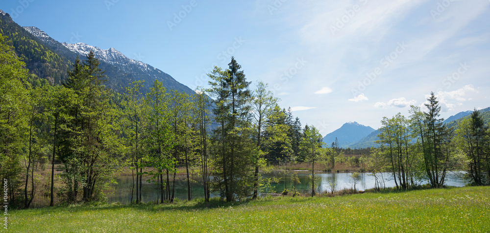 Naturlandschaft Sieben Quellen im Loisachmoor Naturlandschaft Sieben Quellen im Loisachmoor