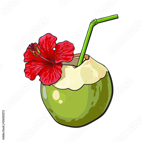 Coconut cocktail, drink decorated with red hibiscus flower, summer vacation attribute, sketch vector illustration isolated on white background. Hand drawn coconut drink, cocktail with straw and flower