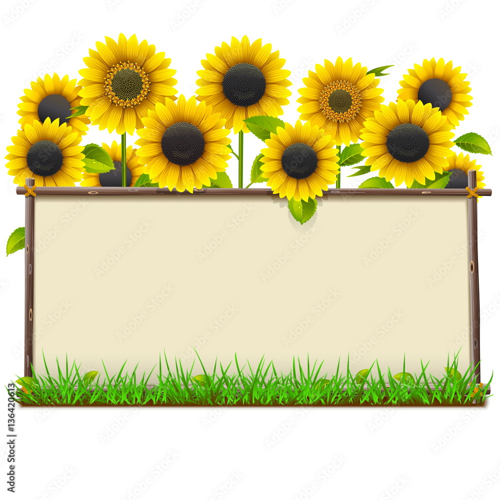 Naklejka premium Vector Wooden Frame with Sunflowers