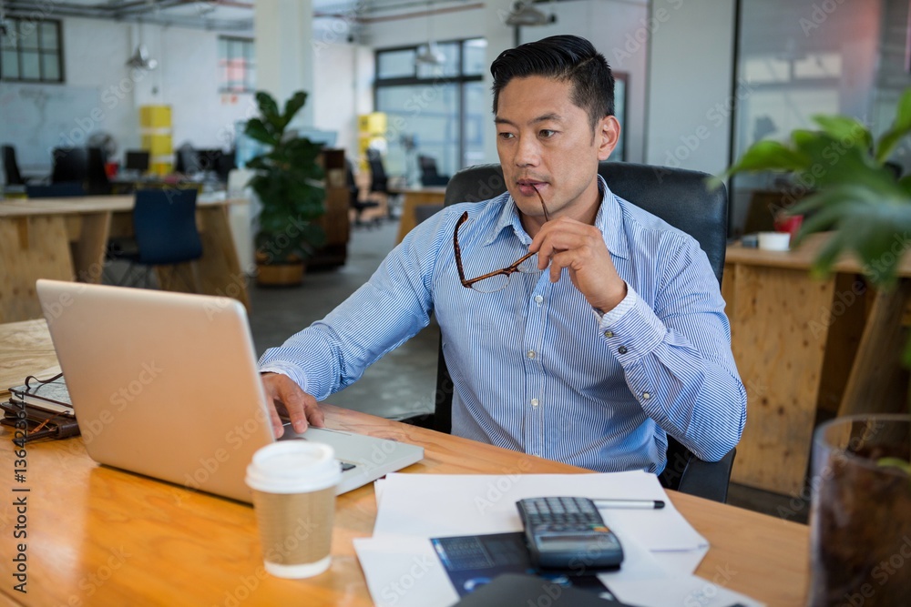 Fotografie Business executive using laptop at desk
