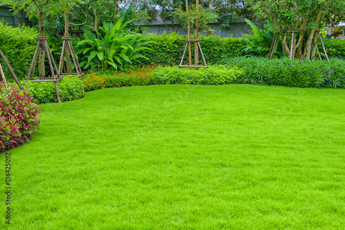 Green lawn,backyard and tree,garden design,Landscaping in the garden .