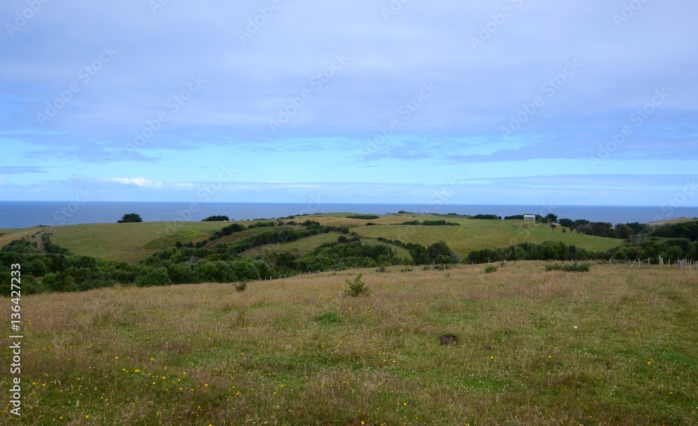 Green lush rolling hills and Pacific Ocean on Chiloe Island in Southern Chile.