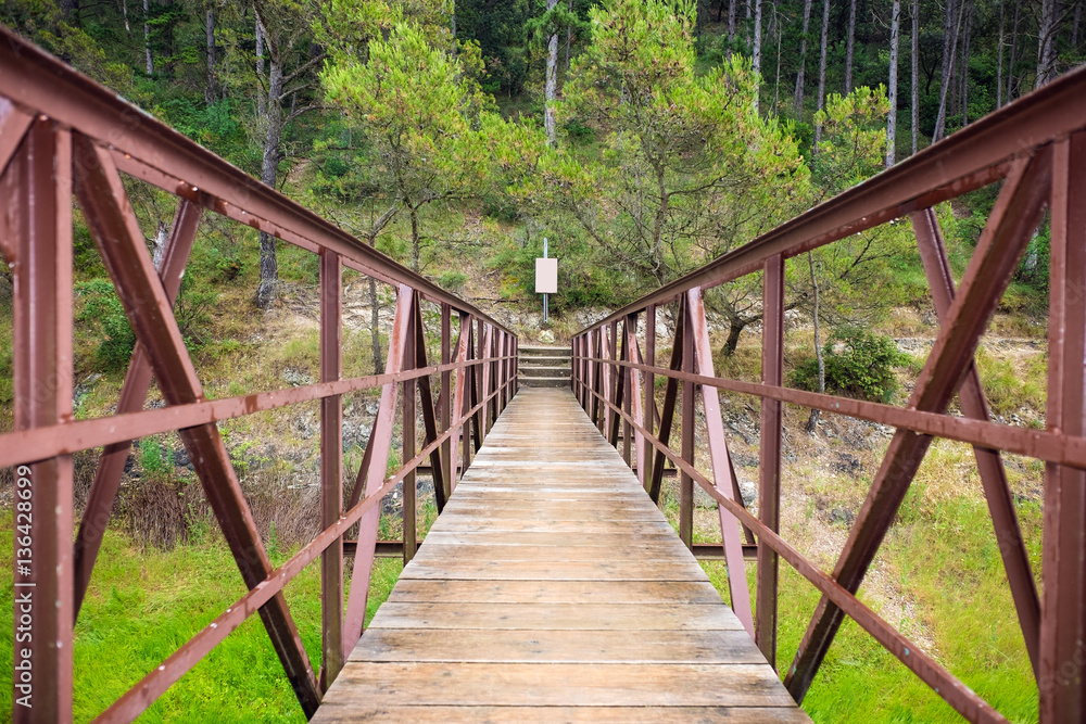 Rusty footbridge over green grass Rusty footbridge over green grass