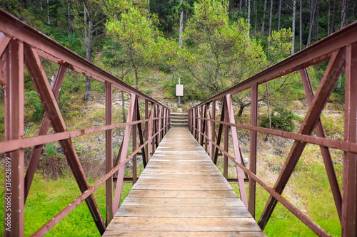 Rusty footbridge over green grass