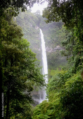 Large waterfall cascading down, visible through a gap in the foliage.