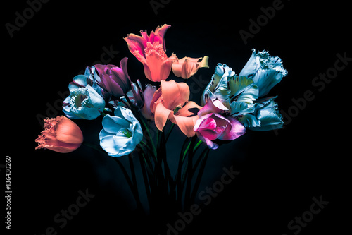 Dark colors in the dark. Tu...