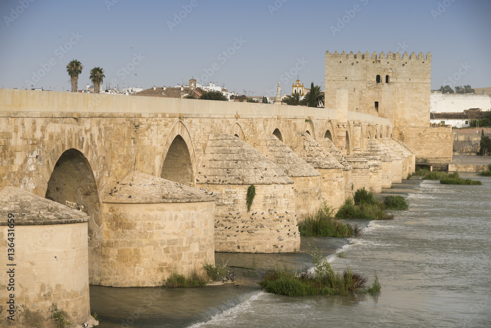 Cordoba (Andalucia, Spain): Roman bridge