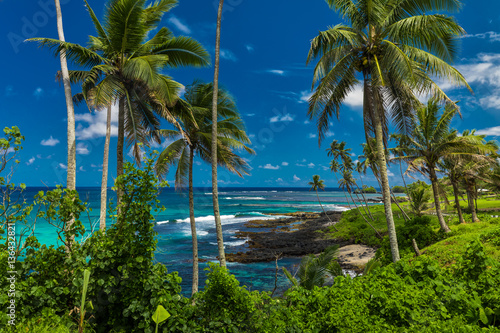 Tropical volcanic beach on Samoa Island with many palm trees photo