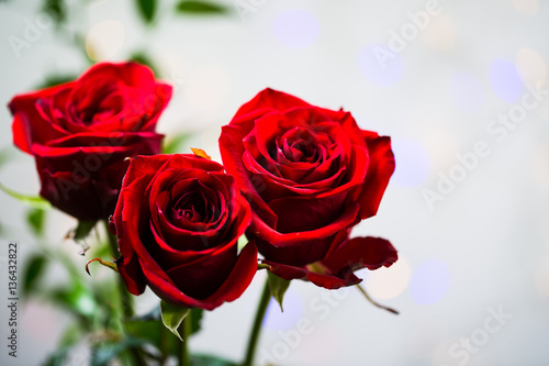 Fototapeta Naklejka Na Ścianę i Meble -  Red Roses - valentine