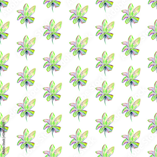 modern flowers background isolated