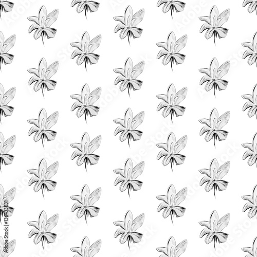 modern flowers background isolated