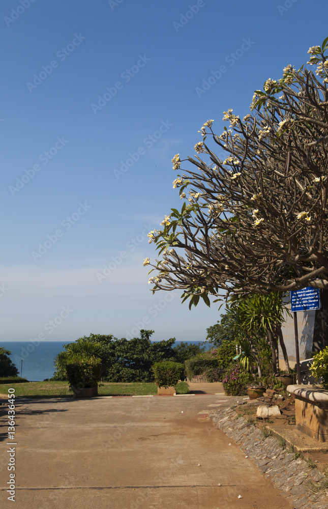 Fototapeta premium Beautiful tropical flowers