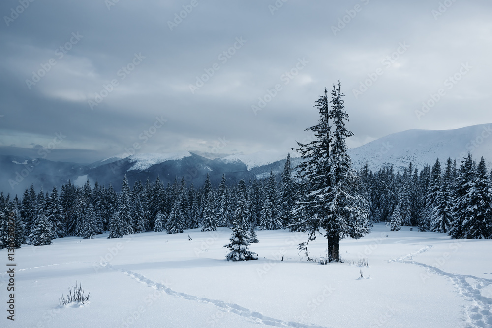 Heavy clouds are floating over the winter mountains