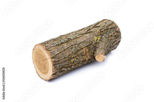logs on white background, studio photo, acacias tree