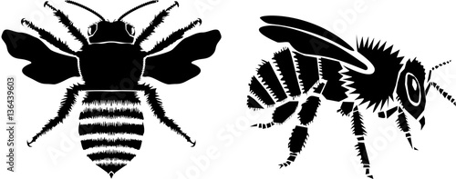 Obraz na płótnie Bee vector illustration