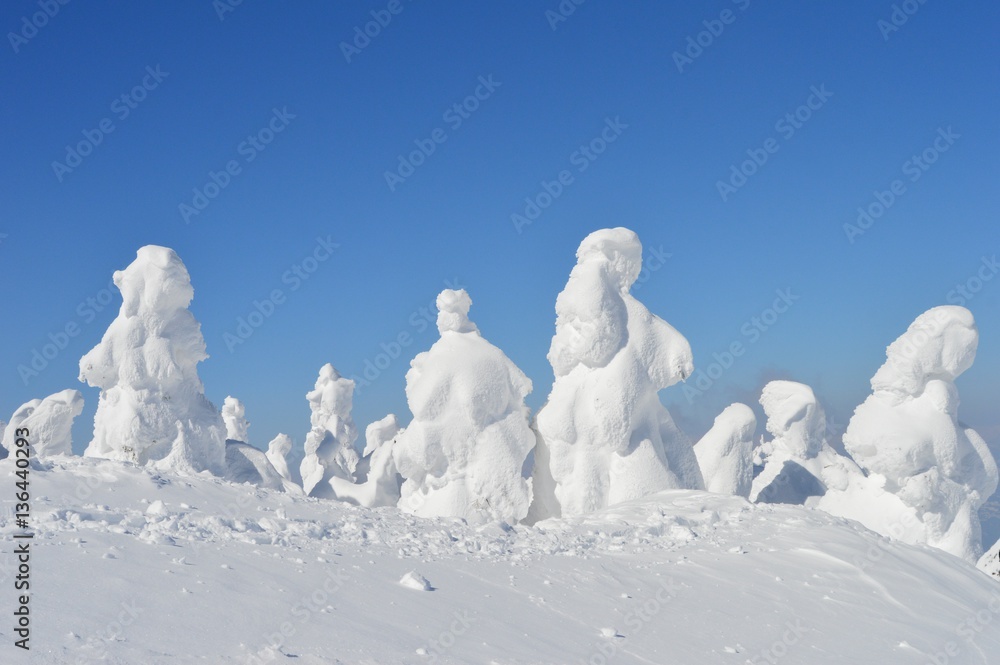 雪景色 雪景色