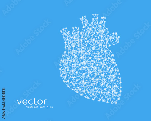 Abstract vector illustration of human heart.