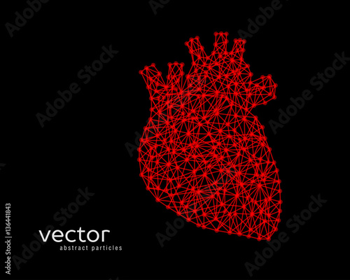 Abstract vector illustration of human heart.