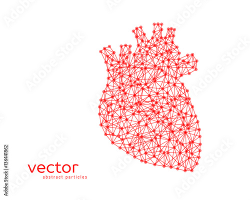 Abstract vector illustration of human heart.
