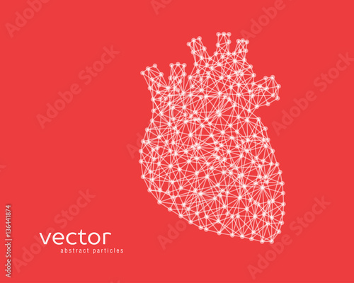 Abstract vector illustration of human heart.