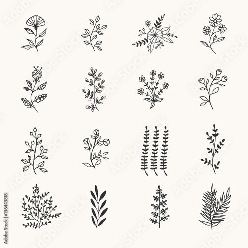 Hand drawn black herbs and flowers for design banners and labels. Vector illustration. Isolated.