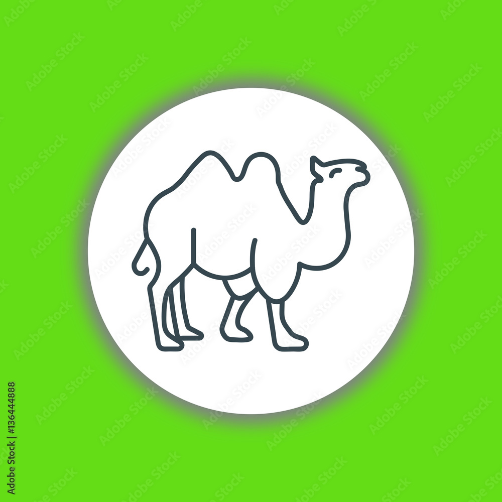 Fototapeta premium Camel icon vector