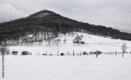 Snow covered hill with woods on the sides