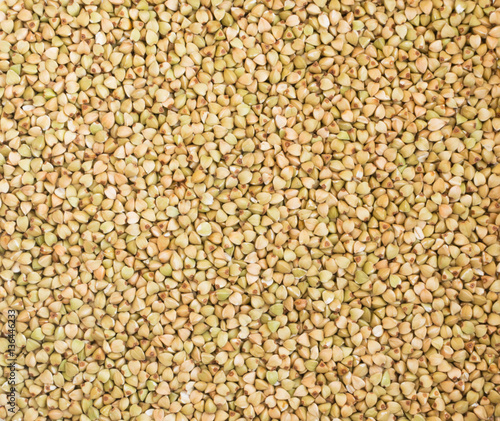 Dry Green Buckwheat Background