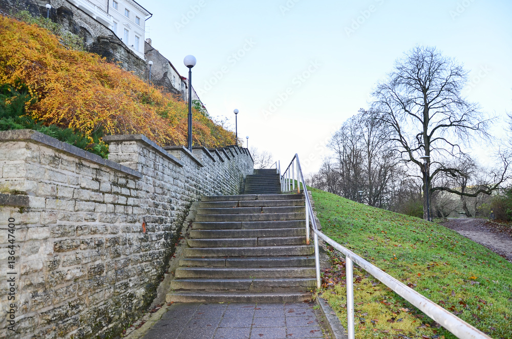 Stairs strewn with yellow maple leaves in autumn city park.
