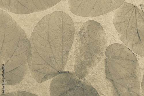 Abstract natural texture concept, vintage tone leaf texture background