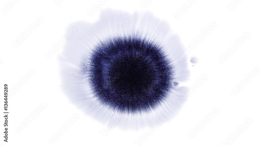 Fototapeta premium Beautiful watercolor ink drops on white paper, paint bleed Bloom, with black circle organic flow expanding, splatter spreading on clear background. Perfect for motion graphics, digital composition