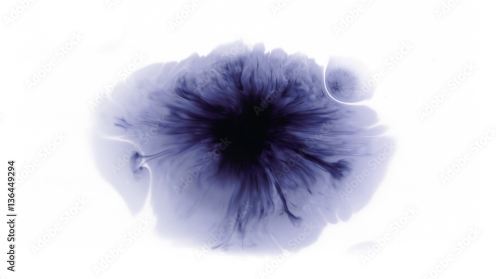 Obraz premium Beautiful watercolor ink drops on white paper, paint bleed Bloom, with black circle organic flow expanding, splatter spreading on clear background. Perfect for motion graphics, digital composition