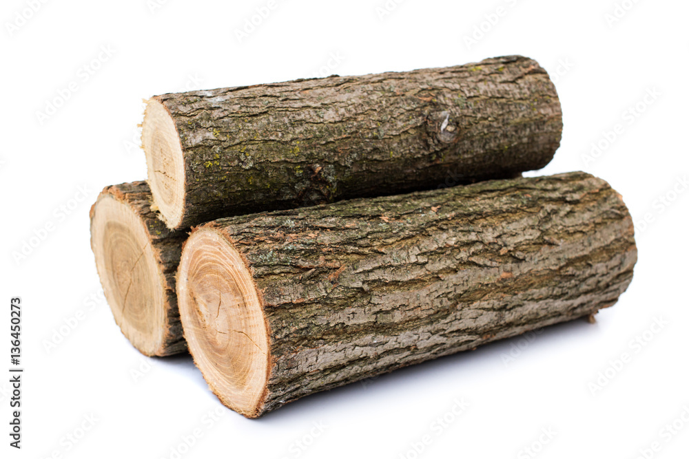 Fototapeta premium logs on white background, studio photo, acacias tree