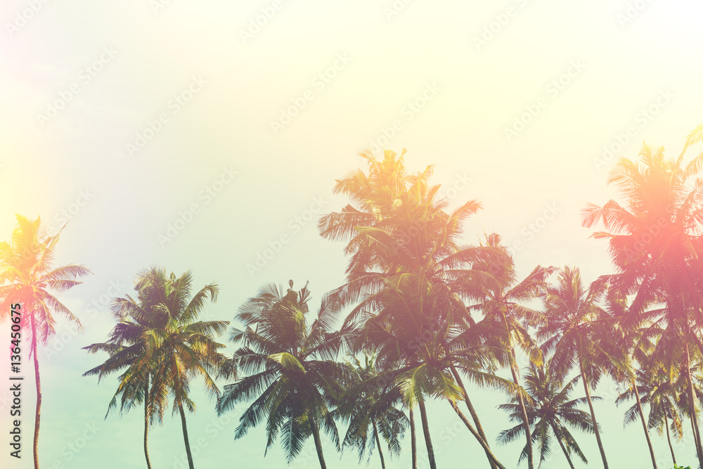 Tropical palm trees at sunny summer day, vintage stylized with retro film light leaks