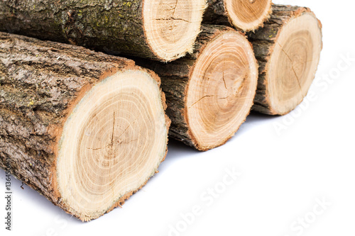 logs on white background, studio photo, acacias tree