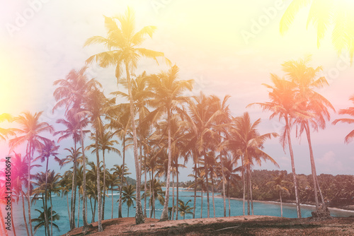 Fototapeta Naklejka Na Ścianę i Meble -  Palm trees on tropical beach, vintage toned and retro color stylized with light leaks