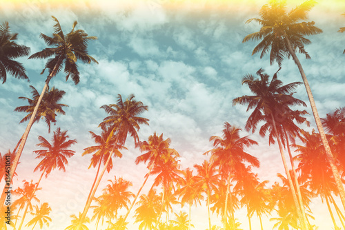Fototapeta Naklejka Na Ścianę i Meble -  Coconut palm trees on tropical beach vintage nostalgic film color filter stylized and toned