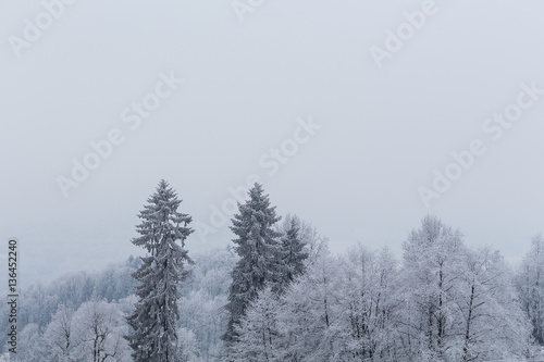 Foggy winter landscape © Roman's portfolio