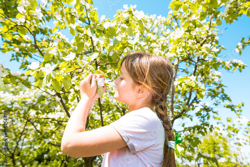 girl sniffs blooming apple flowers in orchard