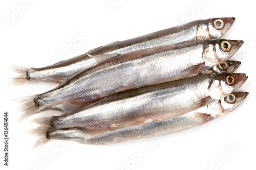 Capelin on a white background photo