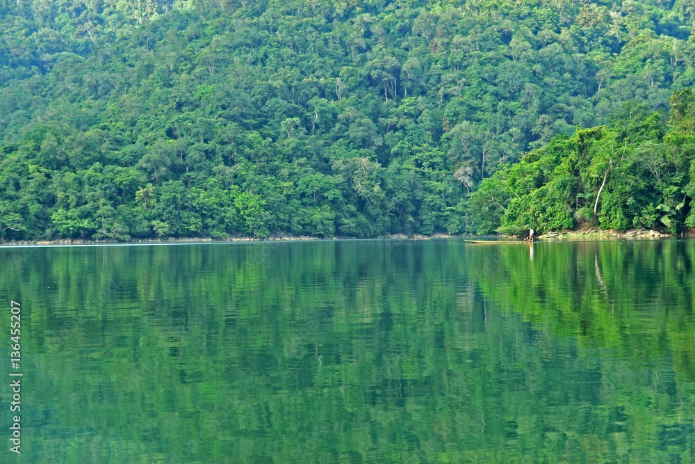 Green tropical rain forest and the reflection from water of the lake in Ba Be National Park, Bac Kan province, Vietnam Green tropical rain forest and the reflection from water of the lake in Ba Be National Park, Bac Kan province, Vietnam