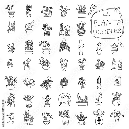 Potted Plants doodles drawing